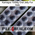 Kamagra 100Mg Oral Jelly For Sale 31